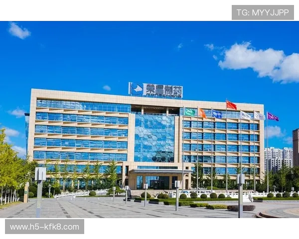 k8凯发是做什么的:探究k8凯发提供的主要产品和服务内容